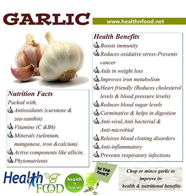 essay on benefits of garlic