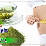 Weight Loss Quickly with Moringa