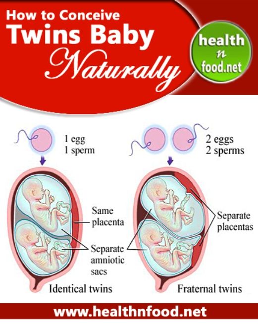 Natural Conceive Twins Diet