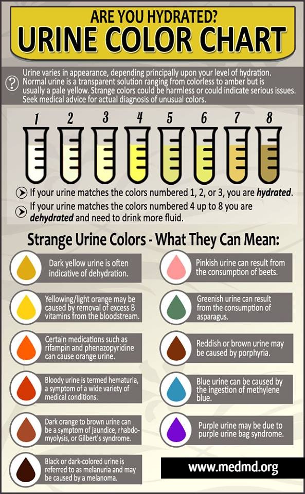 Urine Color Chart 