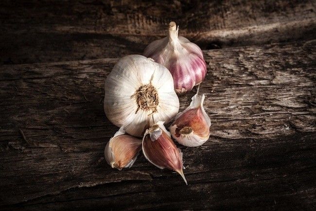 Garlic Heart Health