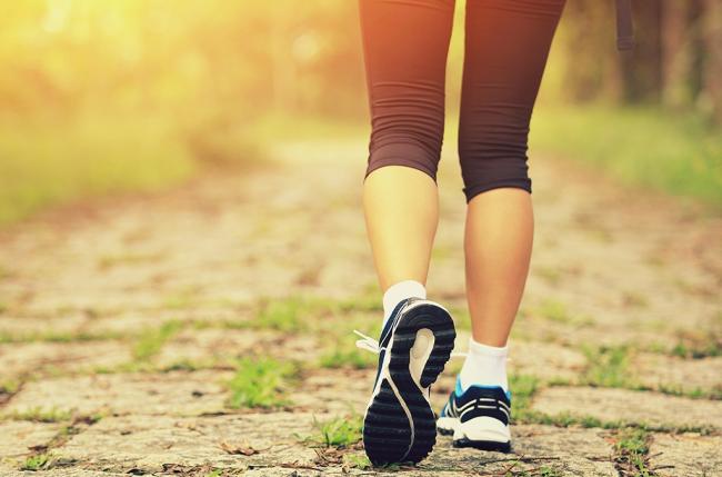 Beginner Walking Program to Lose Weight