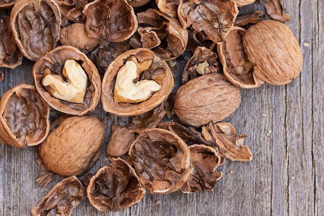 What Nuts Help You Lose Weight