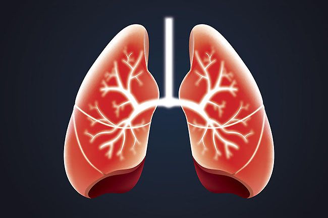 Inhaled Asthma Medications