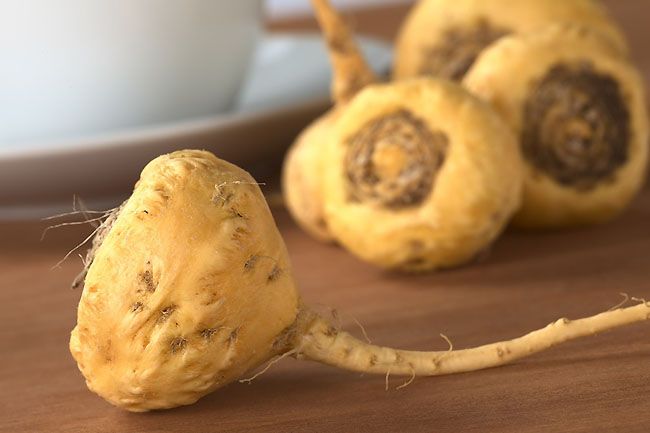 Maca Benefits for Weight Loss
