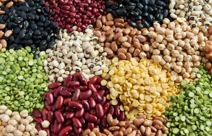 Beans for Healthy Long Life