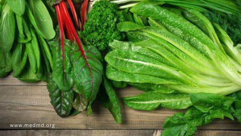 Leafy Green Vegetables Sharpen Kids Memory